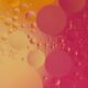 Hybrid-Eliska-Motisova-on-Unsplash
